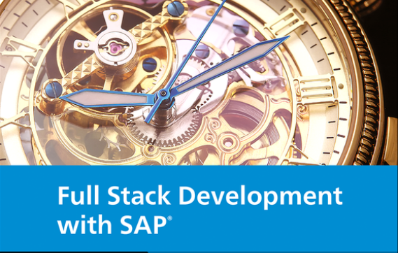 The Full Stack Approach to SAP Integration and Customization